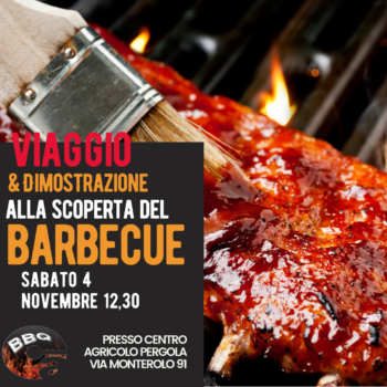 Dimostrazione & viaggio bbq
