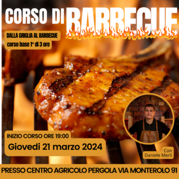 Dalla Griglia al Barbecue